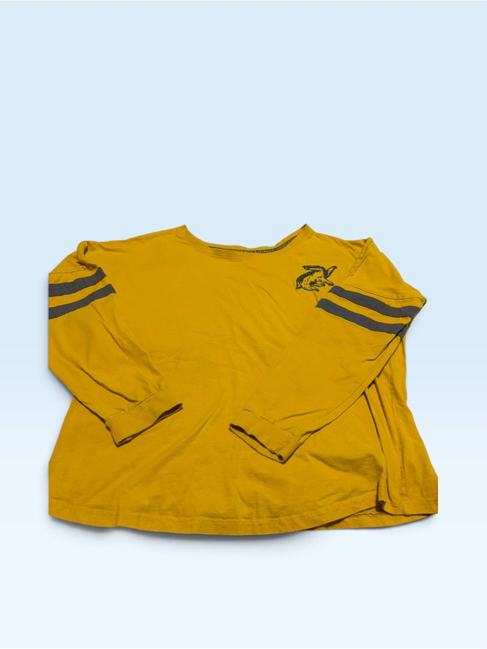 Harry Potter Long-Sleeve Mustard Graphic Tee with Sleeve Stripes Sz XL